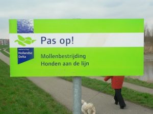 Mollenvangen Reeland Land van Valk